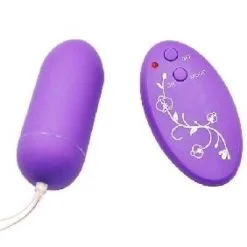 Sexleksakerbutiken Ägg Vibrator Med Fjärrkontroll - PURPLE EGG VIBE