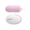 Sexleksakerbutiken Desire Wireless Egg