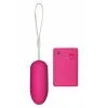 Sexleksakerbutiken Funky Remote Egg Pink