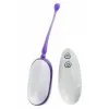Sexleksakerbutiken MY FAVORITE REMOTE EGG PURPLE