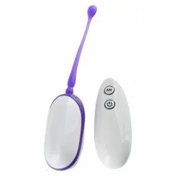 Sexleksakerbutiken MY FAVORITE REMOTE EGG PURPLE