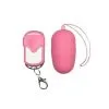 Sexleksakerbutiken Pink Remote Egg