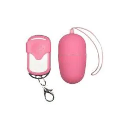 Sexleksakerbutiken Pink Remote Egg