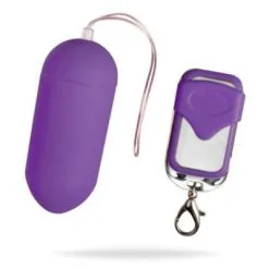 Sexleksakerbutiken Remote Controllable Vibrating Egg Purple