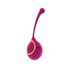 Sexleksakerbutiken Vive Zeki Rosa